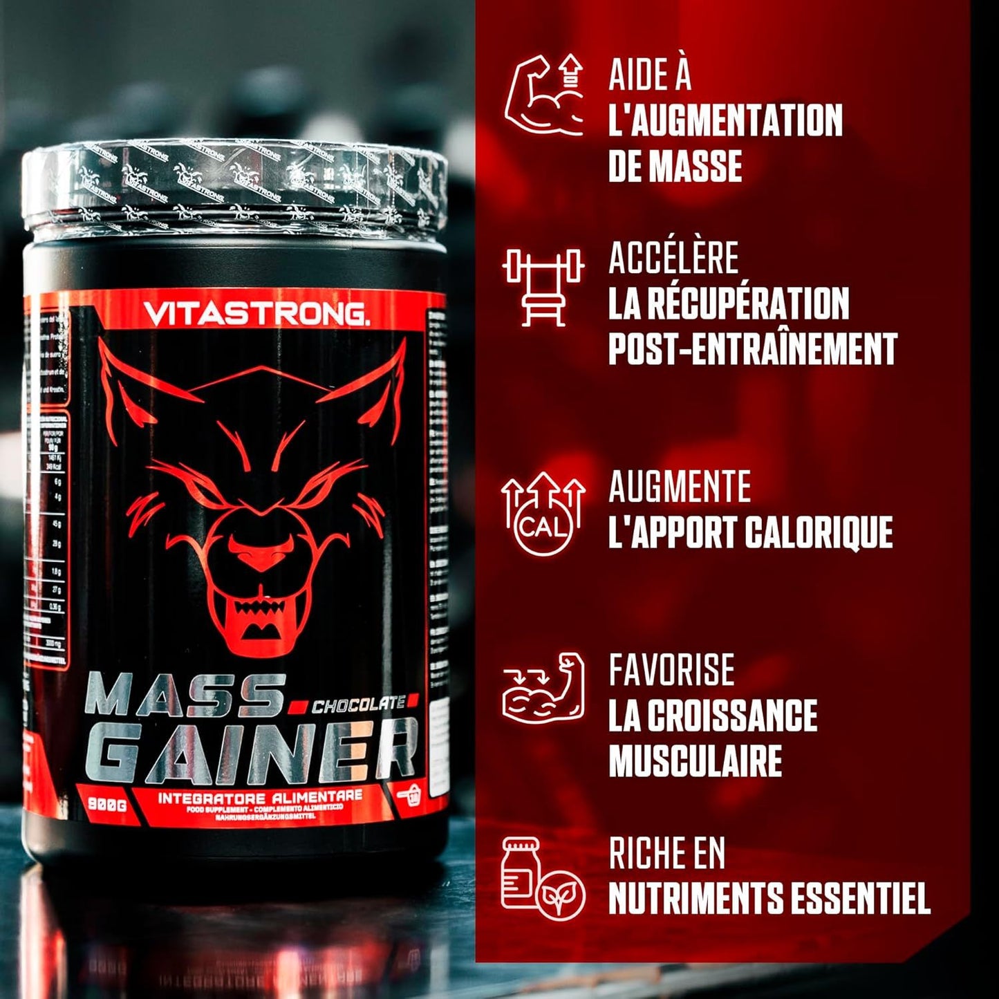 Vitastrong Mass Gainer, 30% Protein Powder, High Calorie, Maltodextrin, Cluster Dextrin, 3g Creatine Monohydrate, Muscle Gaining Supplement for Men & Women, Chocolate Flavor